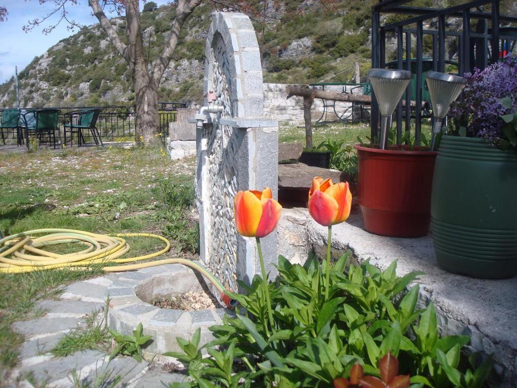 Terpsichori Guesthouse Kapesovo Ngoại thất bức ảnh